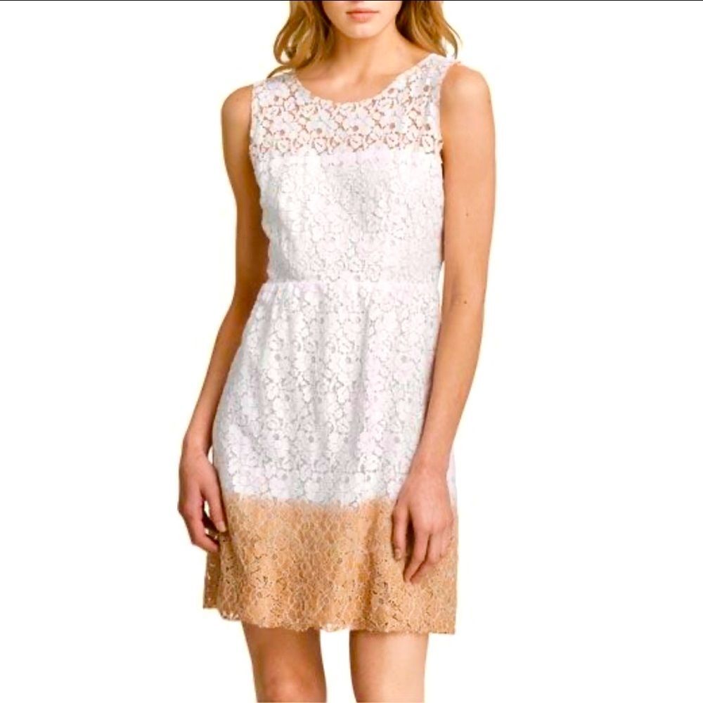 Velvet Maxim Dip-Dye Lace Dress Sz S
